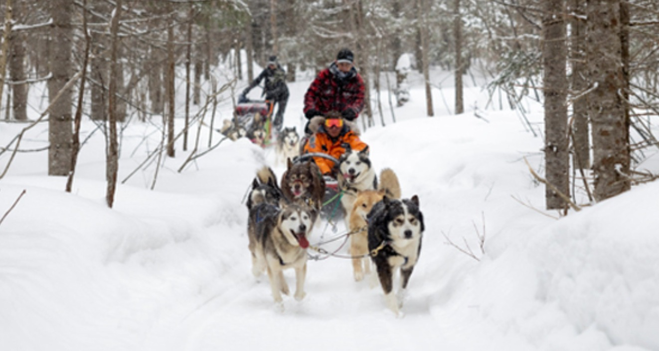 Alaska Winter Activities Banner